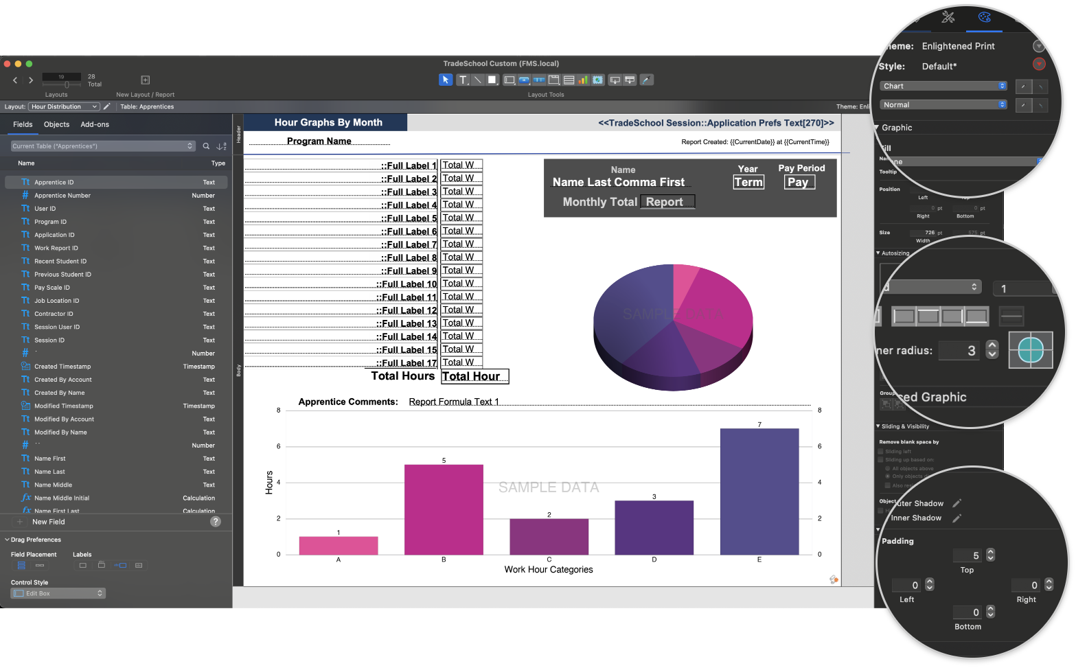 FileMaker report editor view